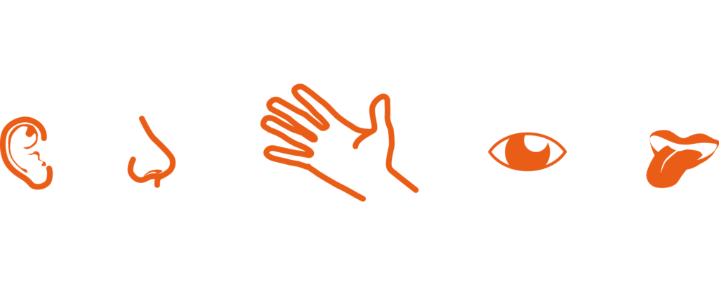 Multisensorisches Design